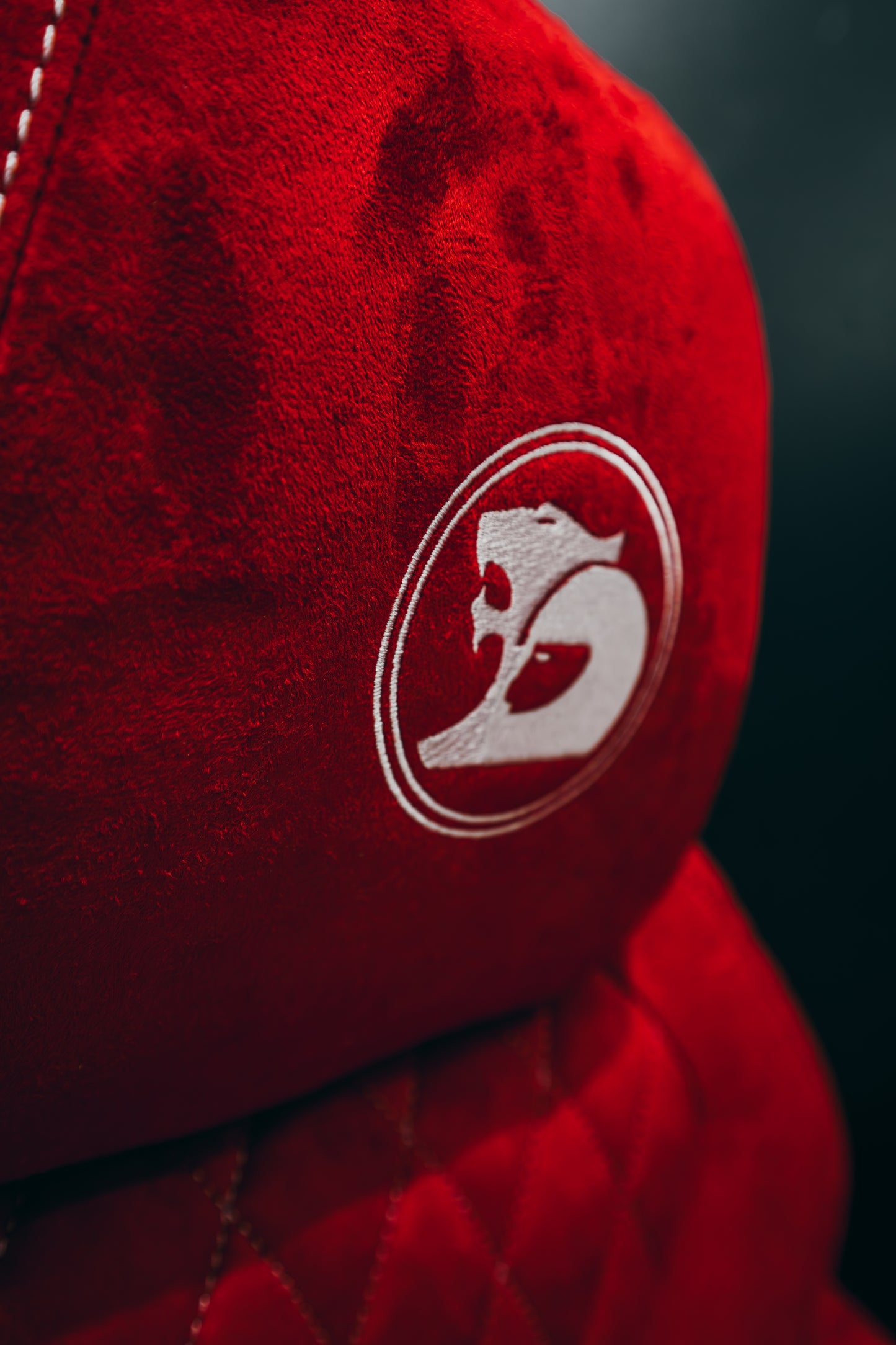 VF HSV STYLE CUSTOM INTERIOR - Red Alcantara & White Stitch