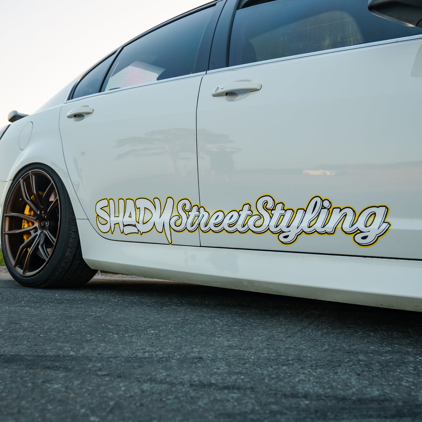 Shady Street Styling - Signature Banner
