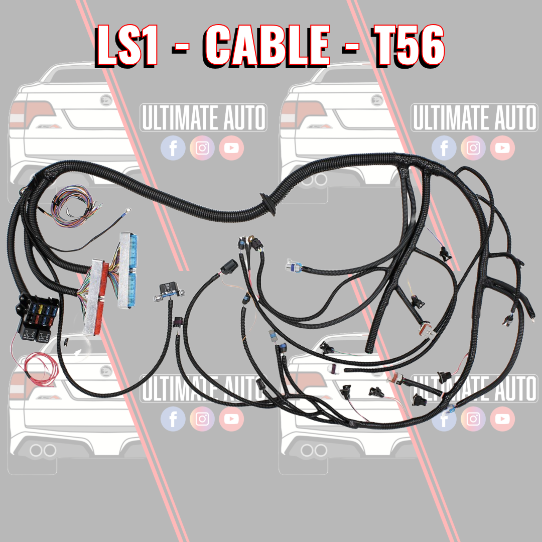 LS1 T56 DRIVE BY CABLE Standalone wiring loom