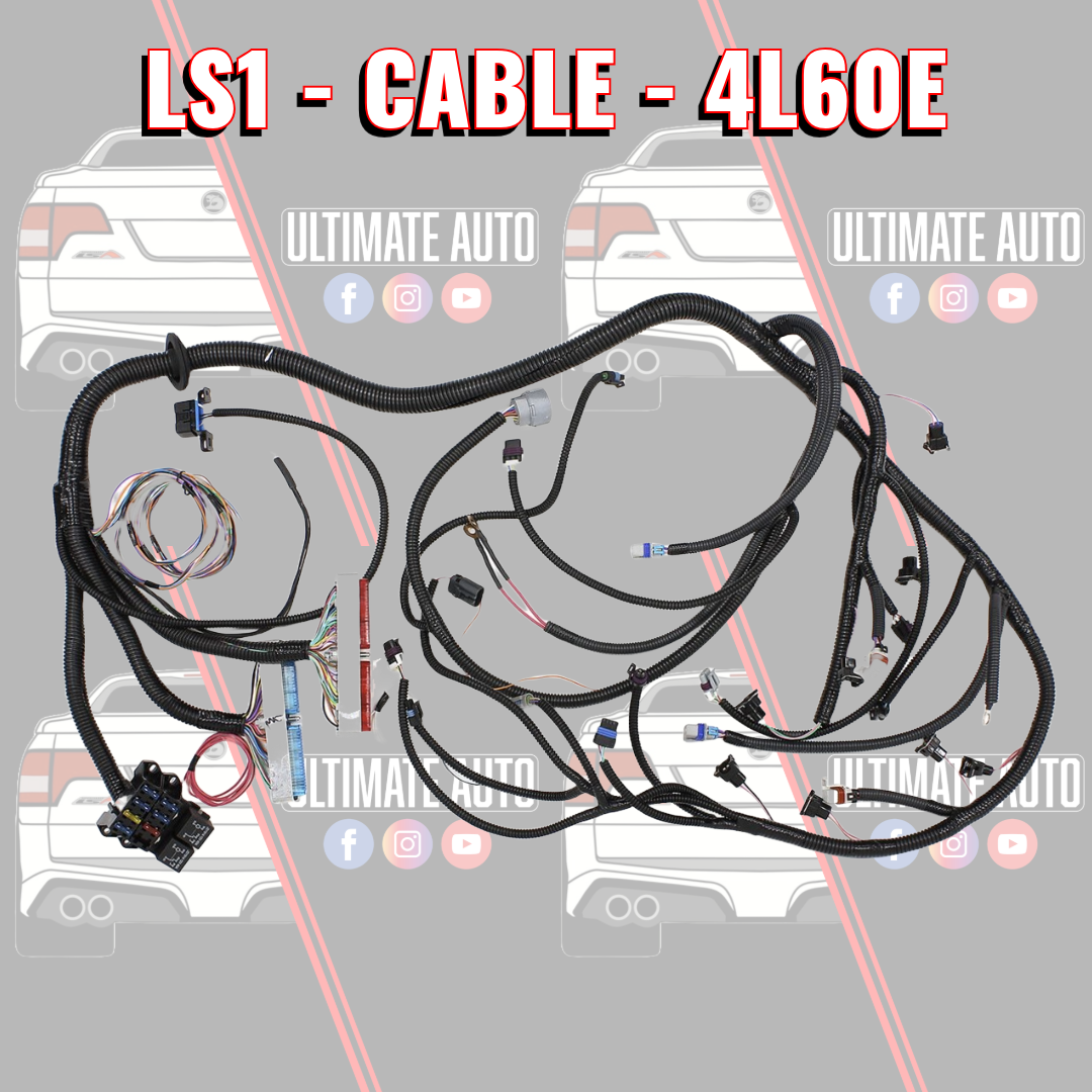 LS1 4L60E DRIVE BY CABLE Standalone wiring loom